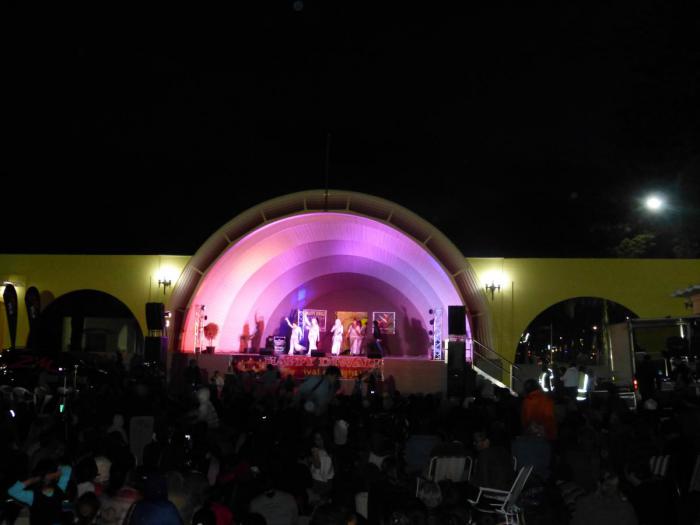 Diwali Festival of Light, Napier