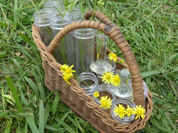 'Junk to Funk' - wicker basket filled with testtube-like containers for floral arranging