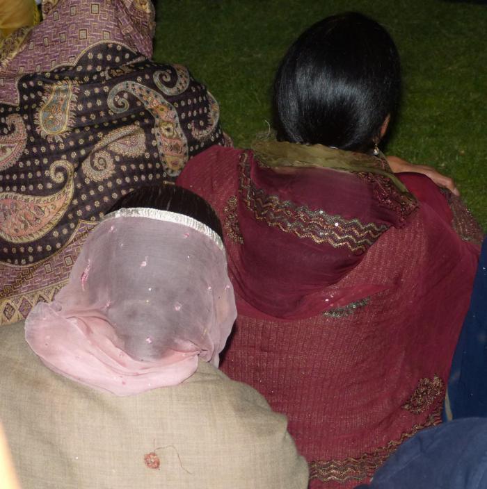 Some of the saris seen at the Diwali Festival of Light, Napier