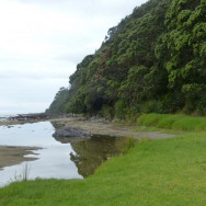 Pauanui Beach pathway to Mt. Pauanui walk